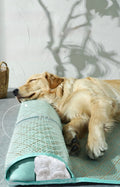 Comfortable Dog Mat