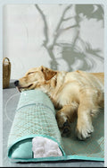 ArcticPaw™ Comfortable Dog Mat